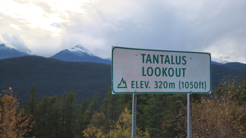 Tantalus Keywords Australia CEO steps down