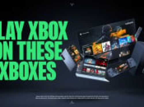 Ballot: Which ‘Xbox’ Gadgets Will You Utilize The Most Time With In 2025?