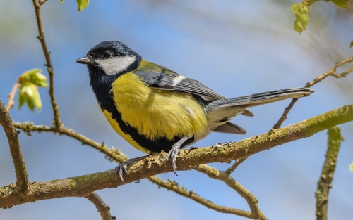 Major Ubisoft News Could Be Imminent After Last-Minute Change