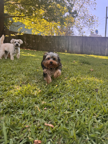 “A design that would make anyone’s heart throb” How Capcom turned Resident Evil Requiem’s Leon S. Kennedy into a “hot uncle”