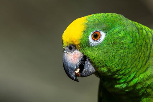 Report: Amazon Game Studios boss is leaving the company