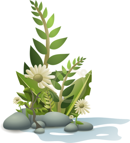 How To Grow Plants In Subnautica 2