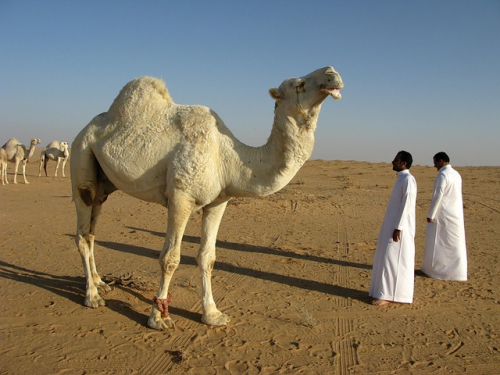 EA taken private by Saudi Arabia, GTA marketing jumps the shark, and Devolver’s huge mistake