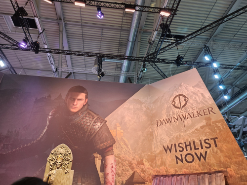 The Blood of Dawnwalker is getting a 60fps mode on PS5 and Xbox Series X, after all